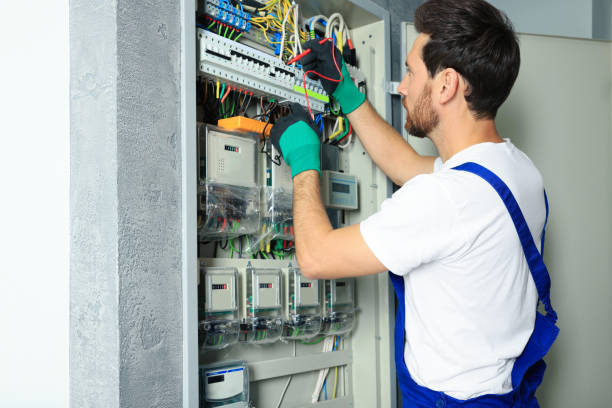 Best Electric Panel Repair  in Mineral Point, WI